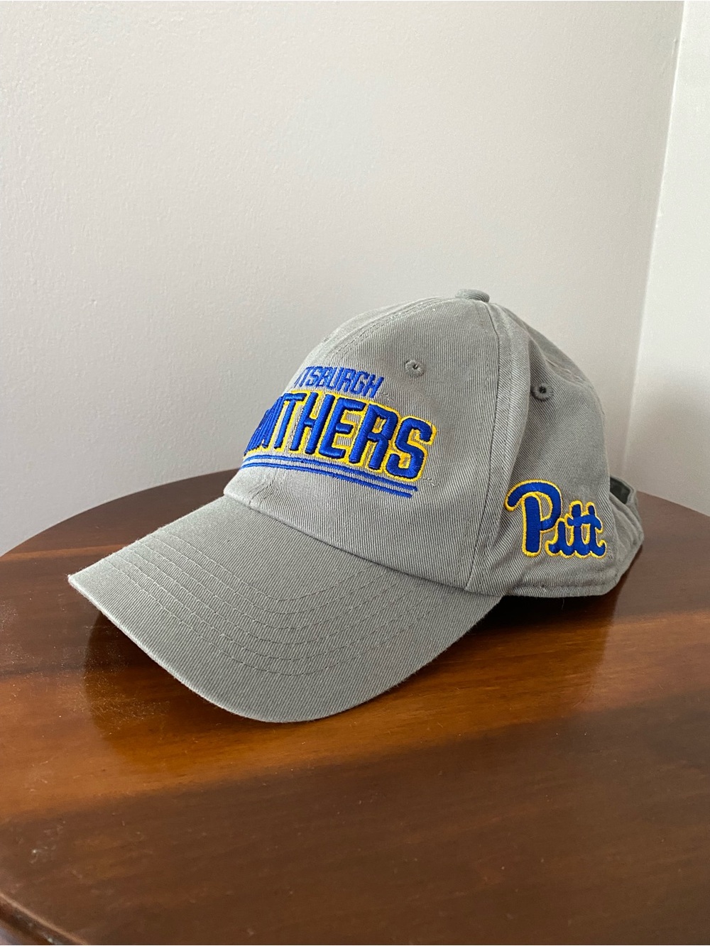 Pittsburgh Panthers Hat